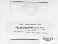 Image Associated With the Occurence